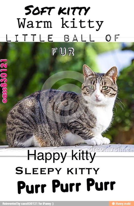 SOFT KITTY
Warm kitty
LITTLE BALL OF
Happy kitty SLEEPY KITTY
Purr Purr Purr
