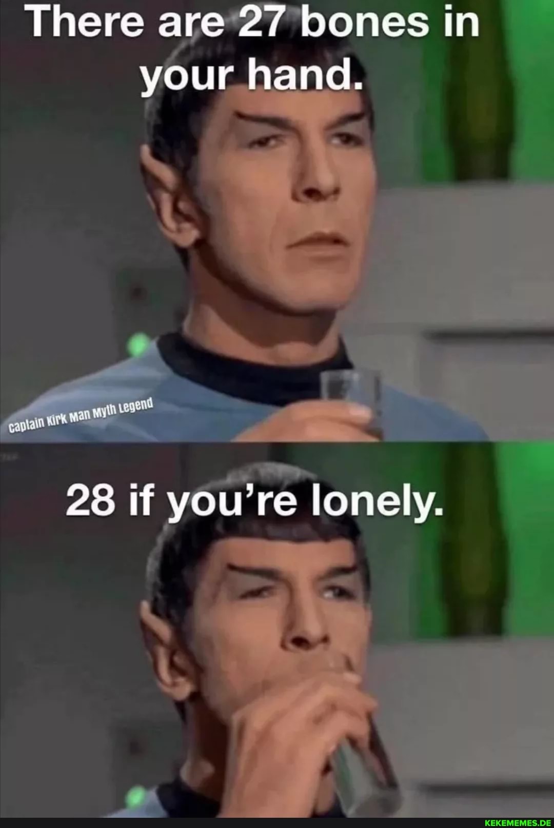 There are 27 bones in your hand. end 28 if you're lonely.