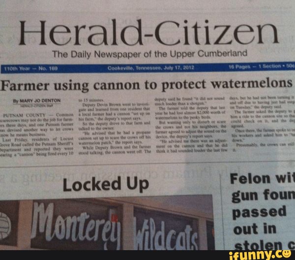 Herald-Citizen The Daily Newspaper of the Upper Cumberland Farmer using  cannon to protect watermelons ca Locked Up Felon wi gun foun passed out in  - iFunny
