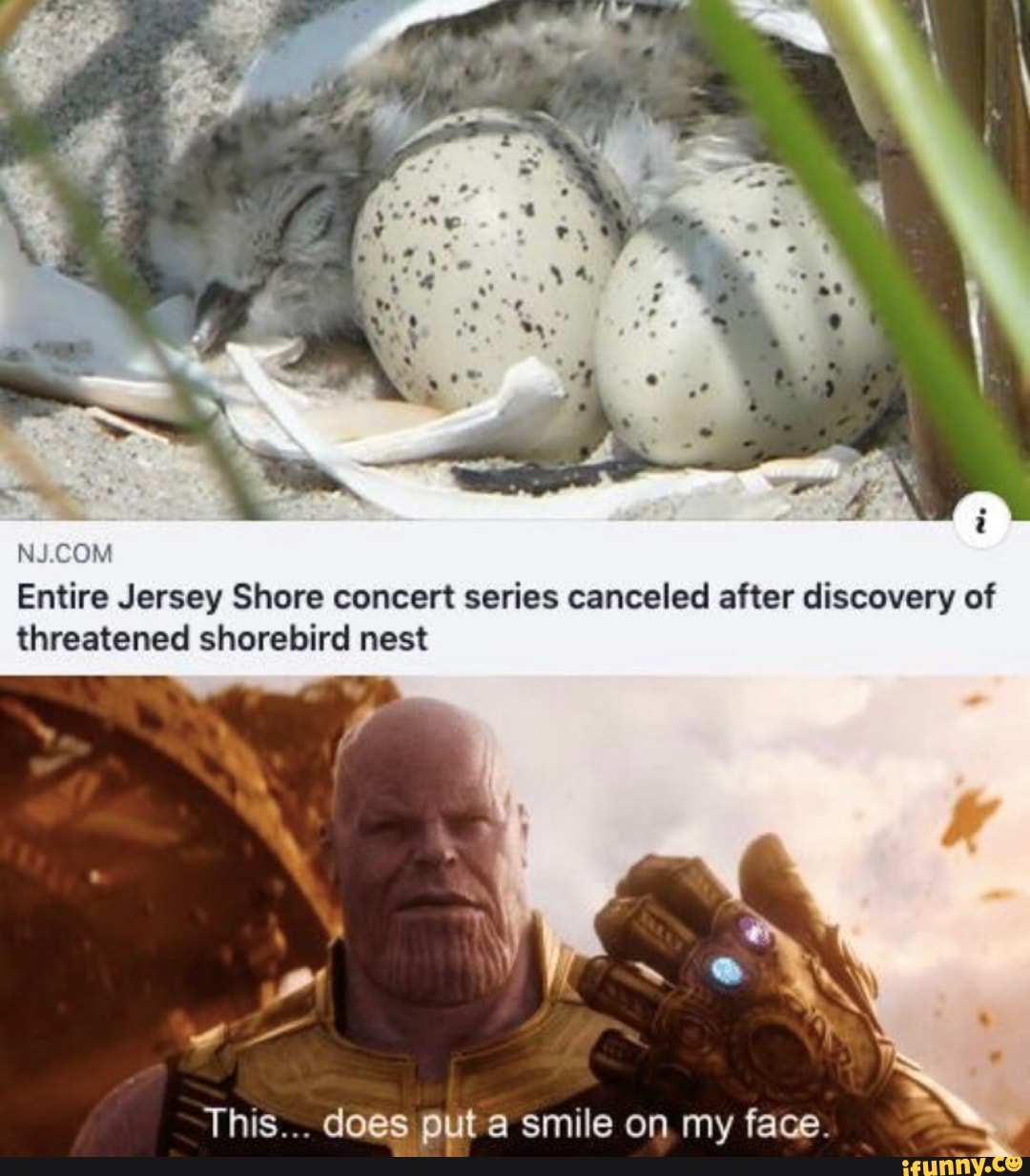 NJ COM
Entire Jersey Shore concert series canceled after discovery of
threatened shorebird nest
This... does ppt a smile on my face.