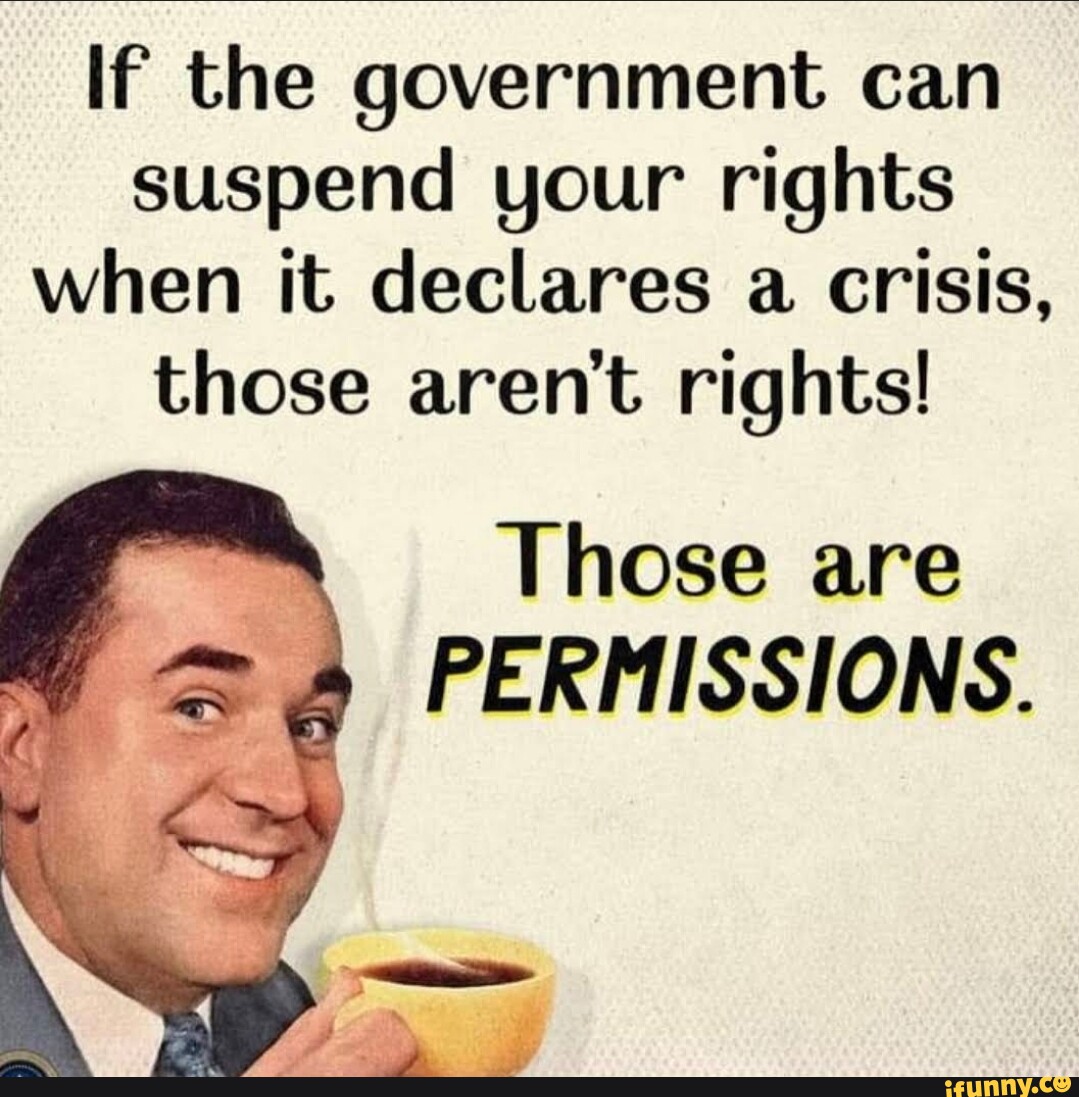 If the government can suspend your rights when it declares a crisis