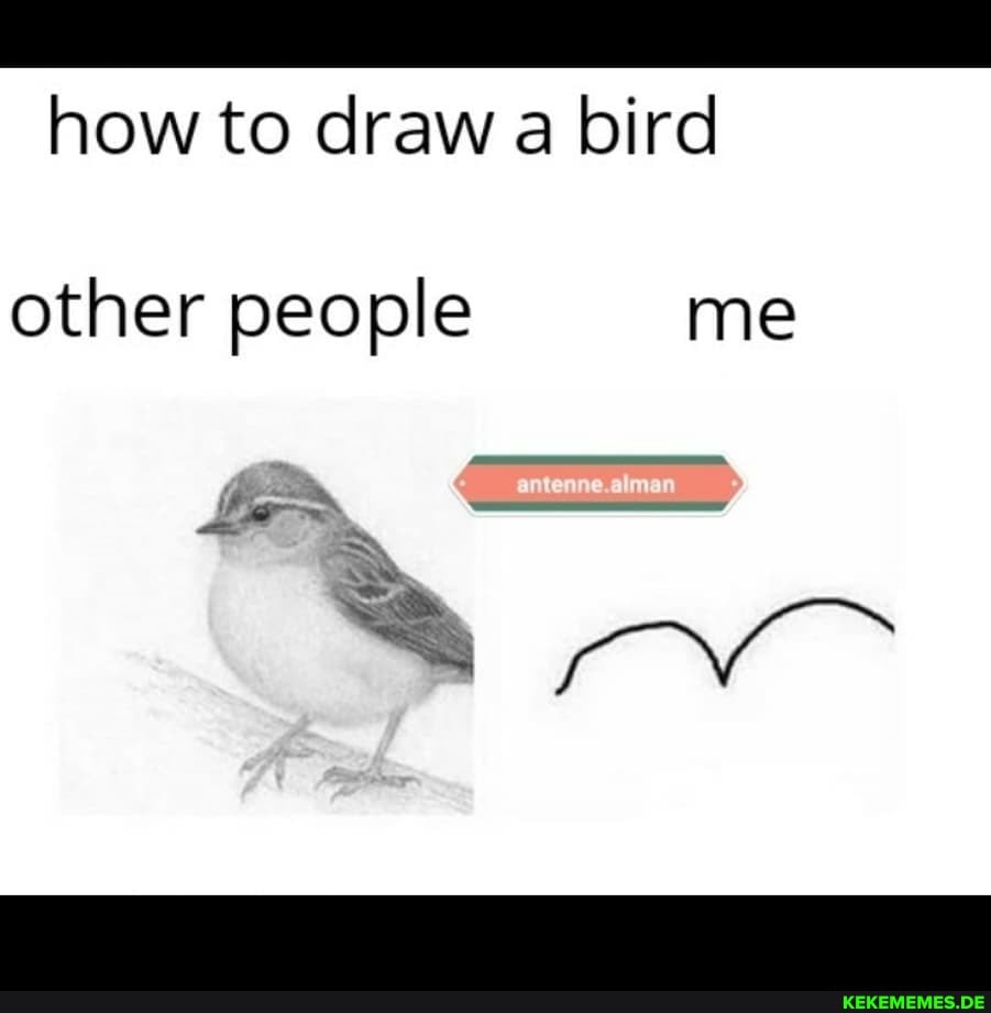 how to draw a bird other people me
aN
Pane