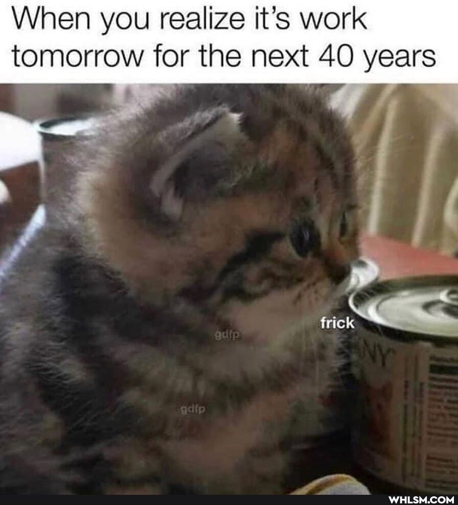 When you realize it's work tomorrow for the next 40 years
