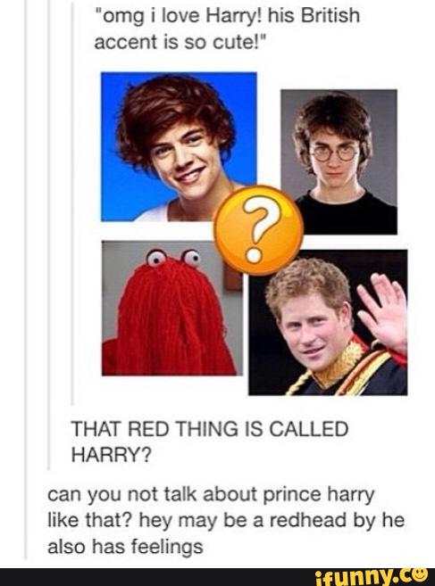 "omg i love Hany! his British
accent is so cute!"
THAT RED THING IS CALLED
HARRY?
can you not talk about prince harry
like that? hey may be a redhead by he
also has feelings