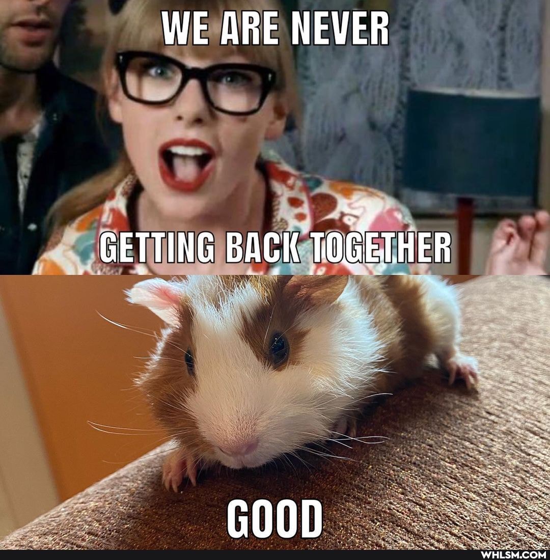 WE ARE NEVER
GETTING BACK TOGETHER
GO0D