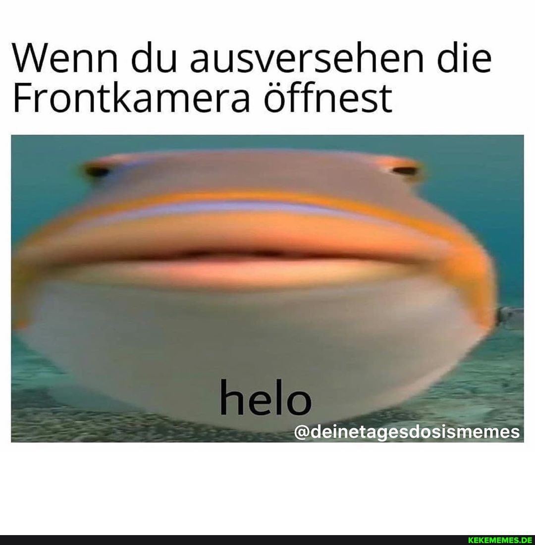 Wenn du ausversehen die
Frontkamera Öffnest
@deinetagesdosismemes