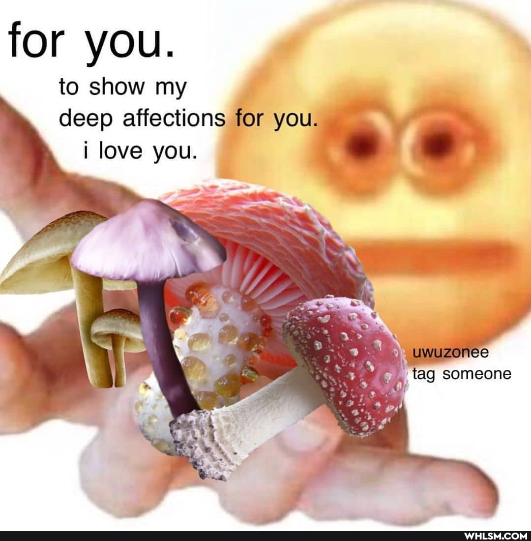 for you.
to show my deep affections for you i love you.
tag someone