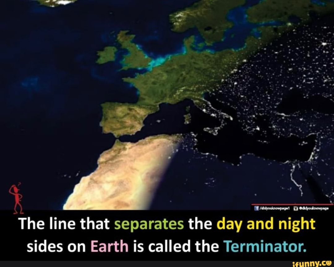 Terminator memes. Best Collection of funny Terminator pictures on iFunny