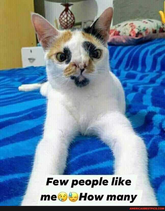 ~ rd
Few people like
many