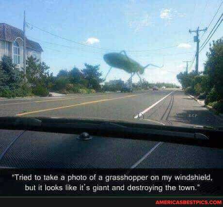 Tried to take a photo of a grasshopper on my windshield,