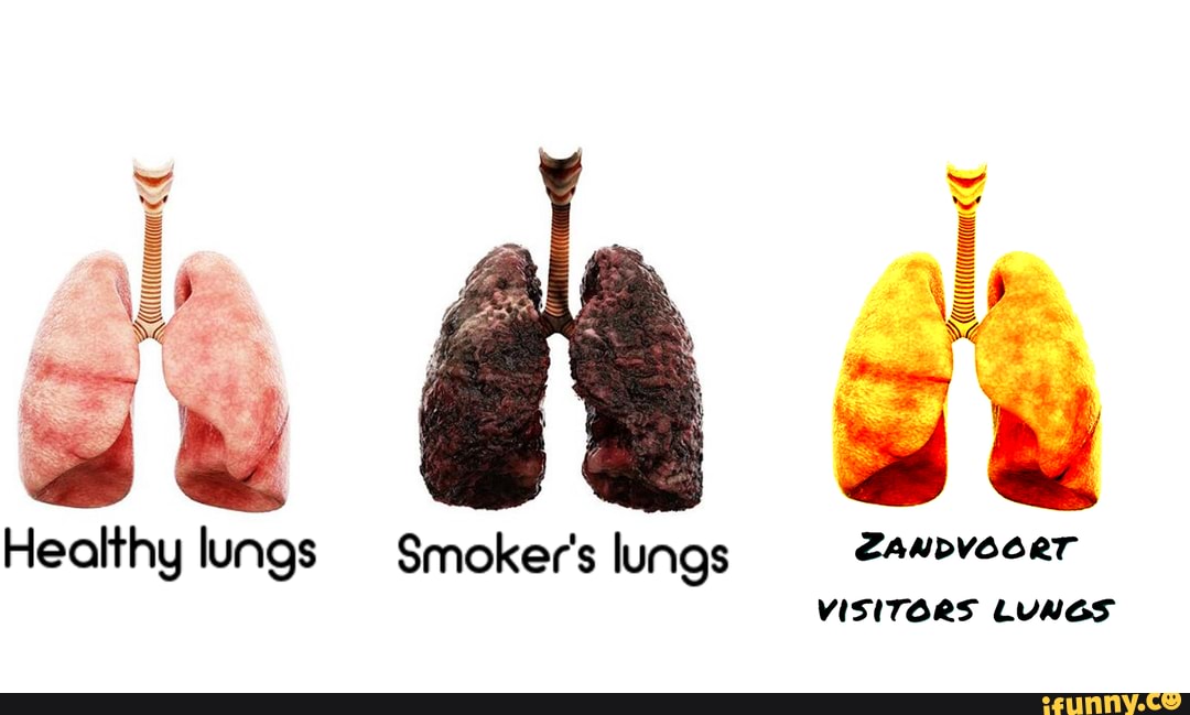 VA Healthy lungs Smoker's lungs ZANDVOORT LUNGS - iFunny