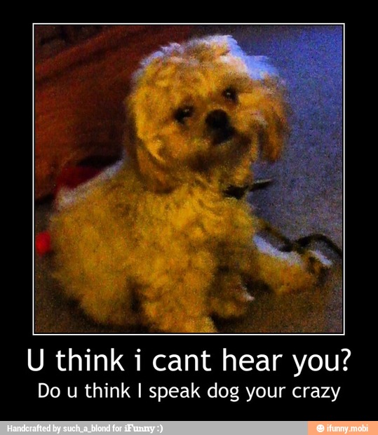 U think i cant hear you?
Do u think I speak dog your crazy - U think i cant hear you?
Do u think I speak dog your crazy