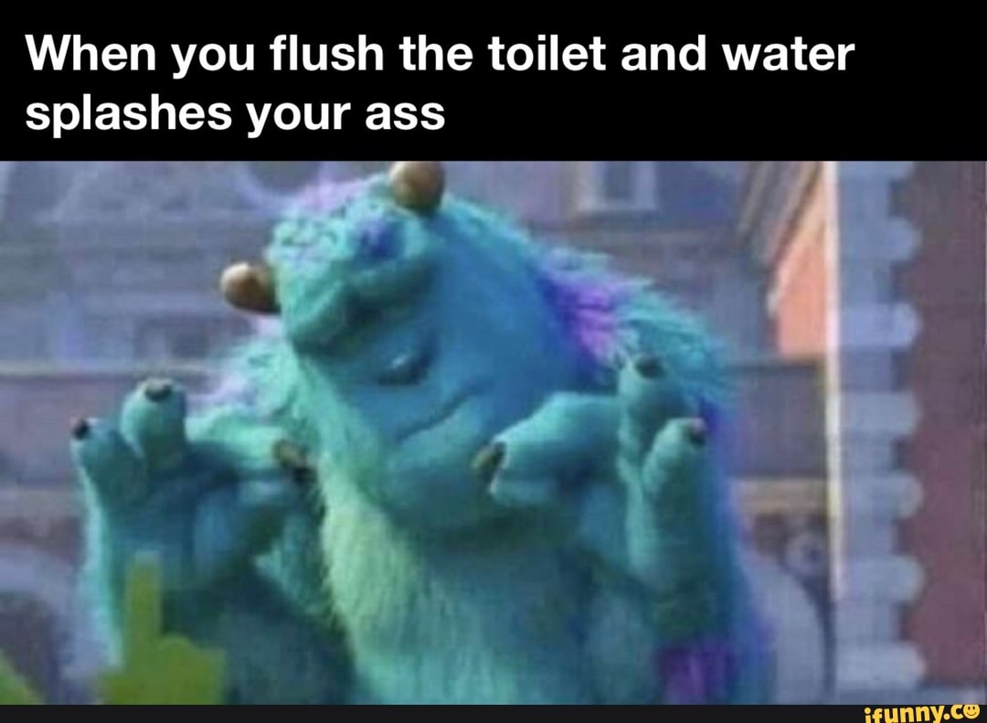 When you flush the toilet and water splashes your ass - iFunny