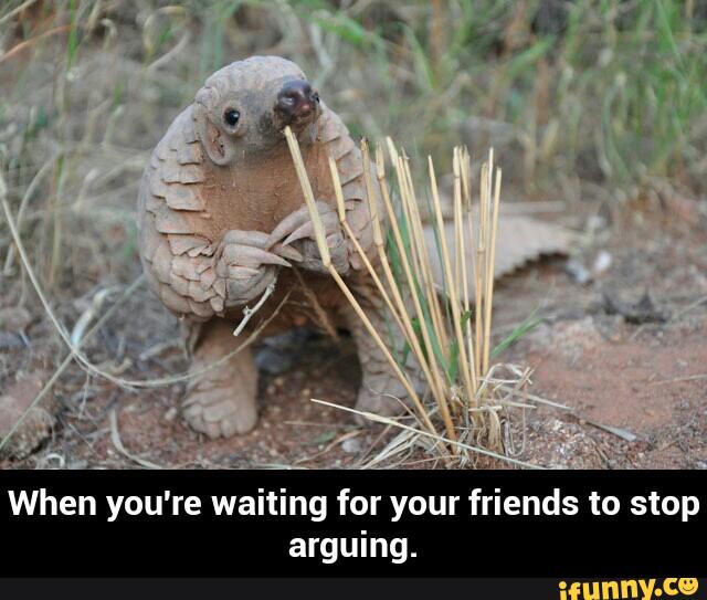 When you're waiting for your friends to stop
arguing. - When you're waiting for your friends to stop arguing.