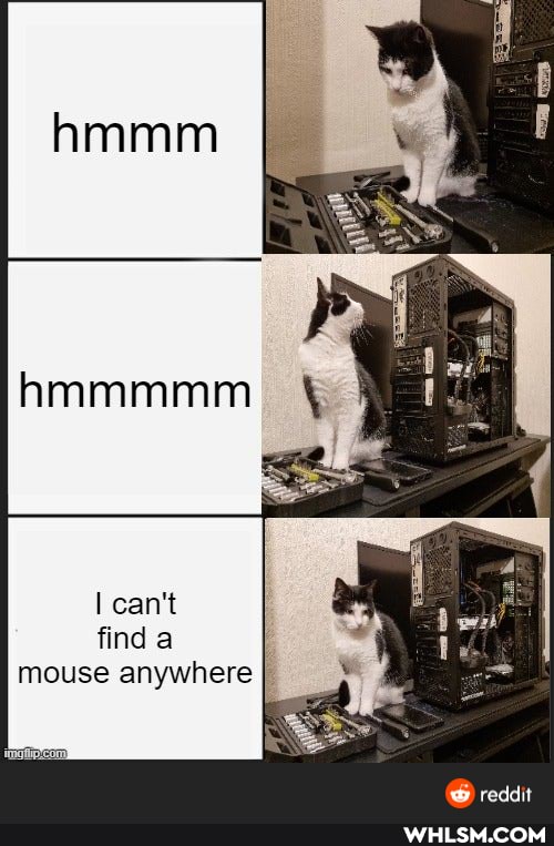 can't find a mouse anywhere