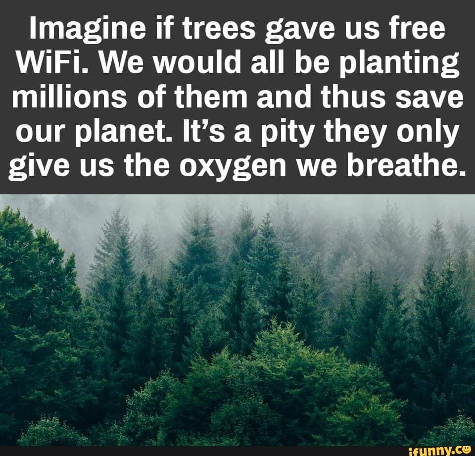 Imagine if trees gave us free WiFi. We would all be planting millions