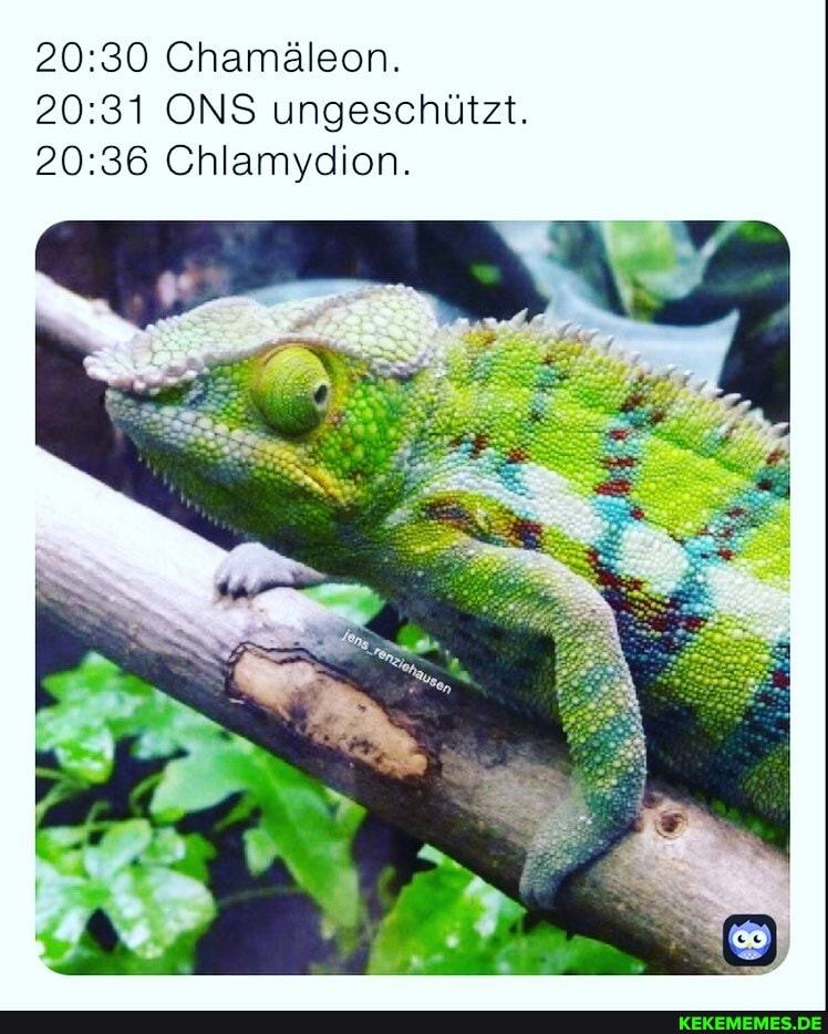 Chamäleon.
ONS ungeschützt.
Chlamydion.