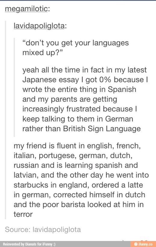 Informative essay: mixed up essay answers image