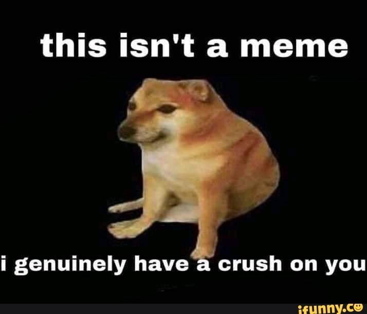 This isn't a meme i genuinely have a crush on you - iFunny