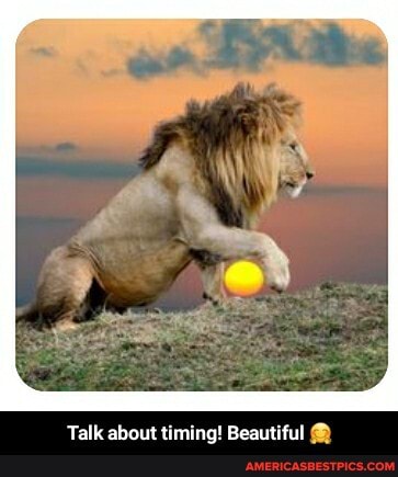 Talk about timing! Beautiful - Talk about timing! Beautiful đŸ¤—