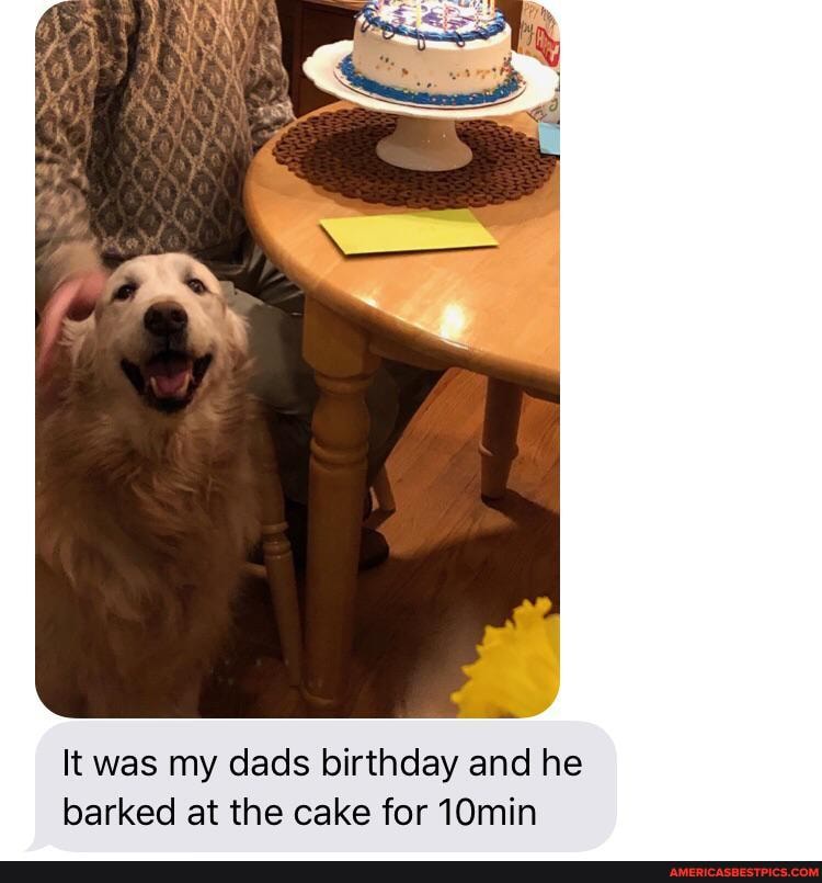 It was my dads birthday and he barked at the cake for 10min