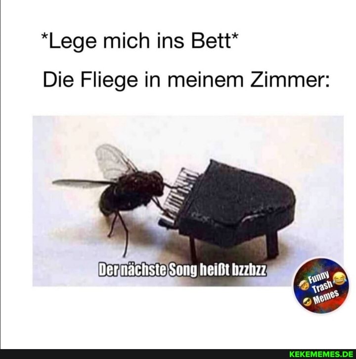 *Lege mich ins Bett*
Die Fliege in meinem Zimmer:
Ber nachste Sony heißt hzzhzz