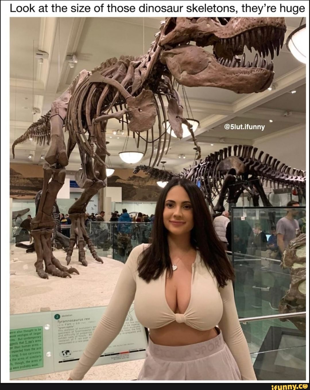 Look at the size of those dinosaur skeletons, lied re dies