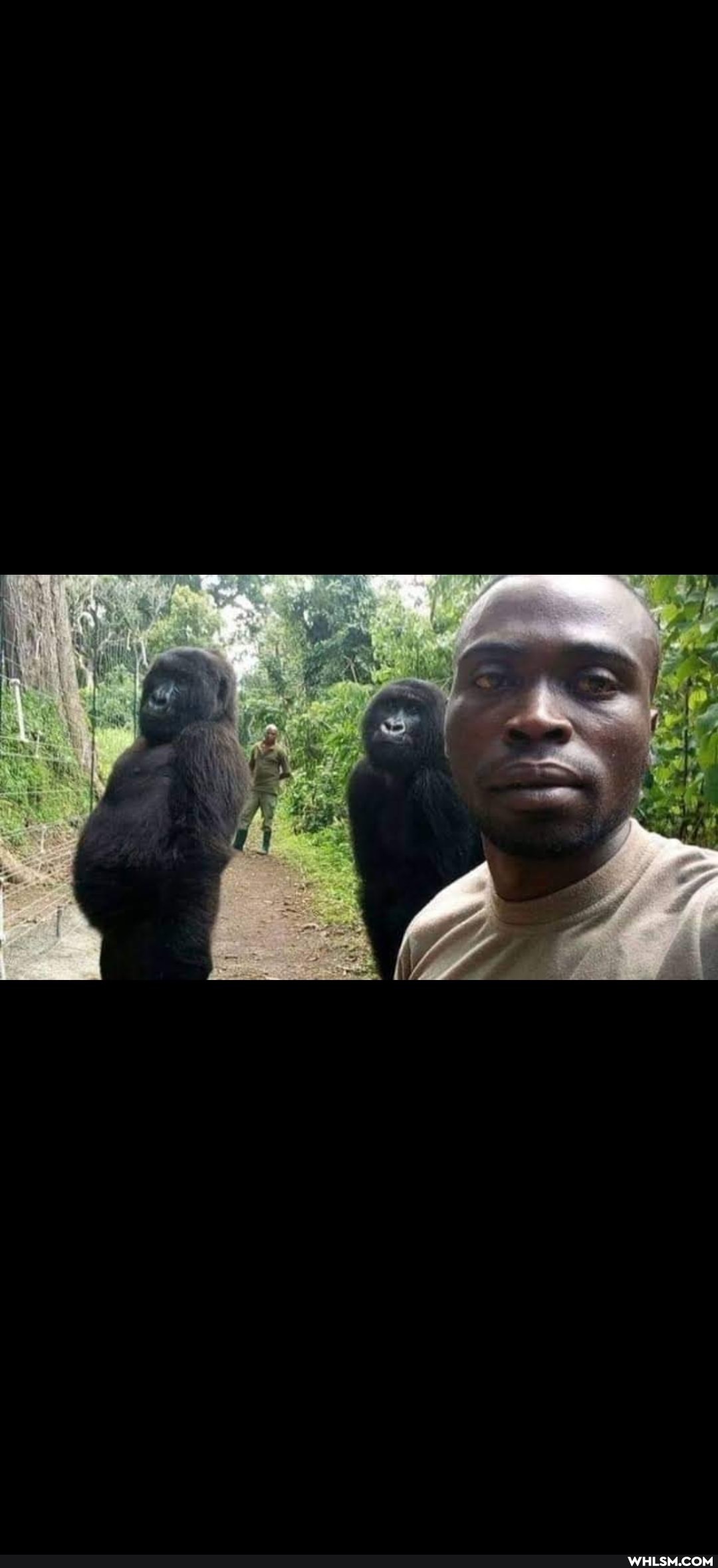 lol, selfies, advice_animals, south_africa