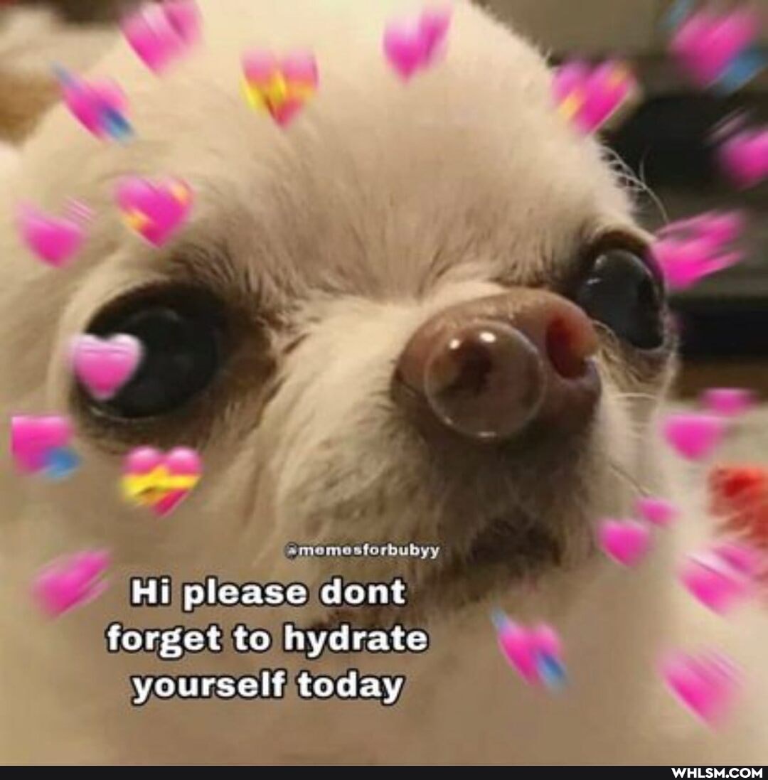 on
dont please forget to hydrate yourself today,