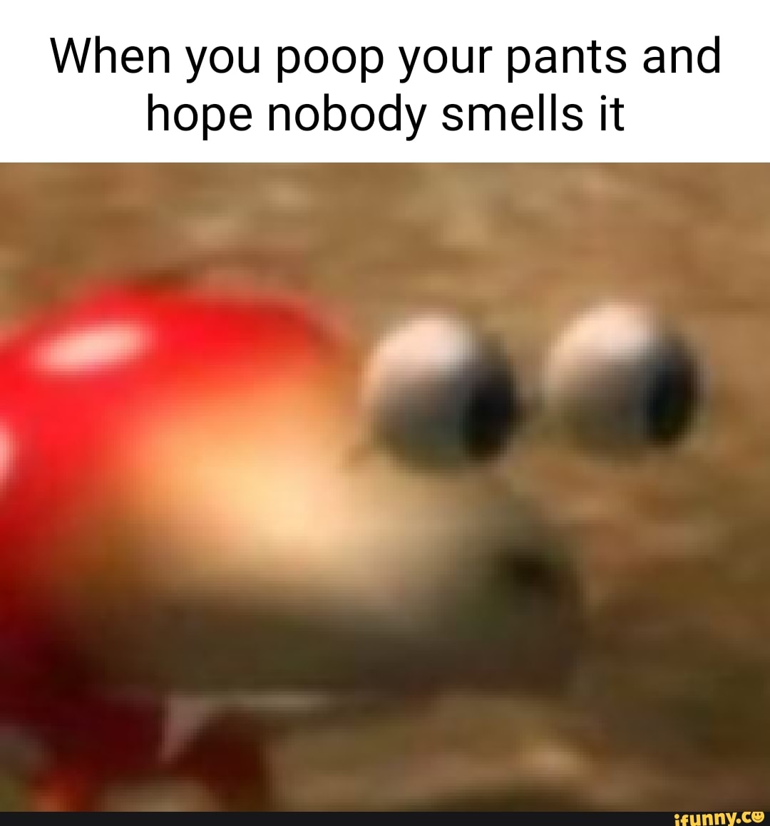 When You Poop Your Pants And Hope Nobody Smells It Ifunny