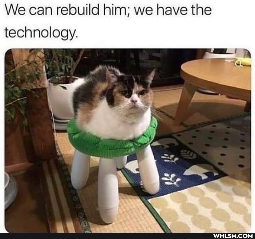 We can rebuild him; we have the technology.