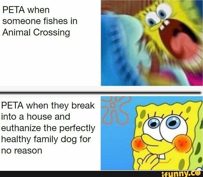PETA when
someone fishes in
Animal Crossing
PETA when they break
into a house and
euthanize the perfectly
healthy family dog for
no reason