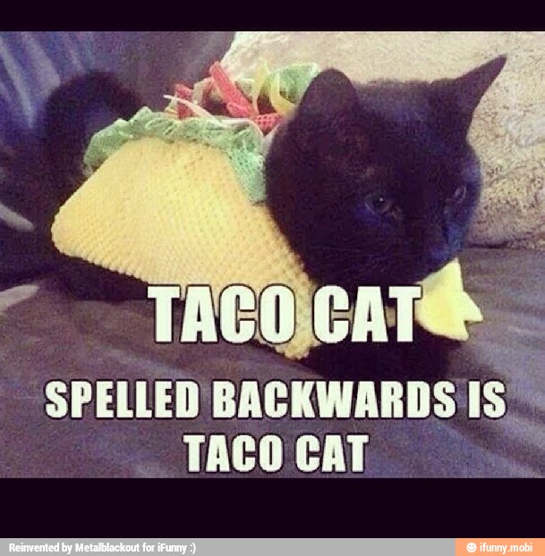TACOCATS
SPELLED BACKWARDS IS
TACO CAT