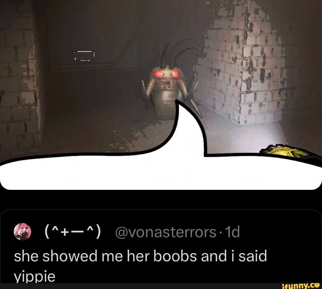 I @vonasterrors: id she showed me her boobs and i said vippie - iFunny