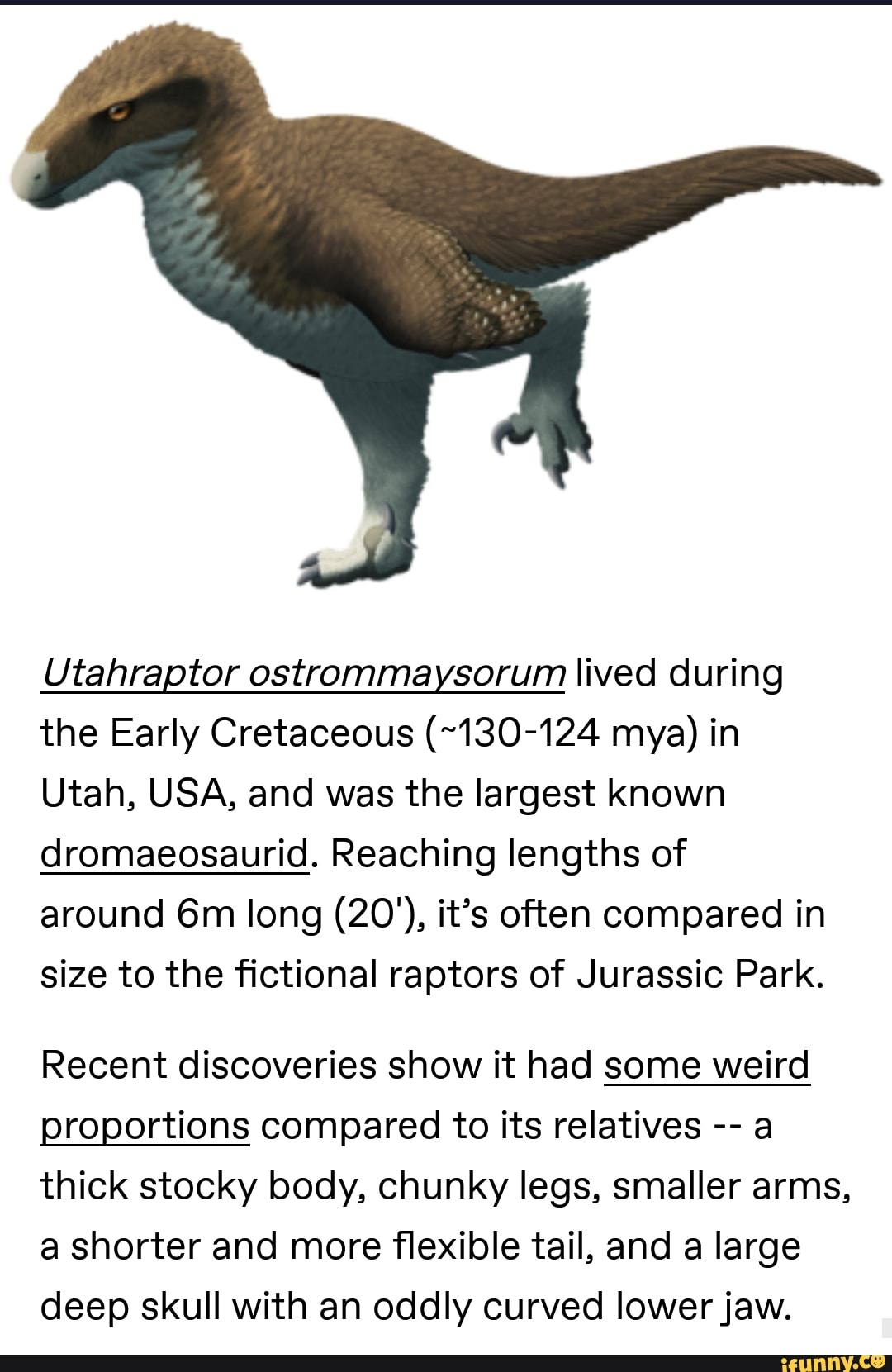 Utahragtor ostrommazsorum lived during the Early Cretaceous (