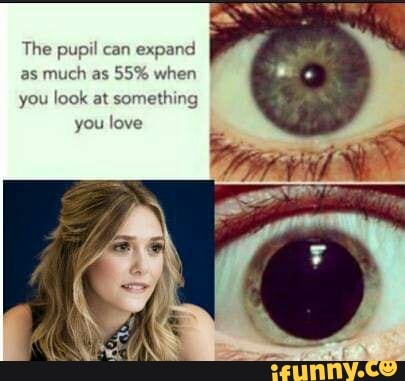 The pupil can expand
as
much as
55% when
you look at somethin
you love