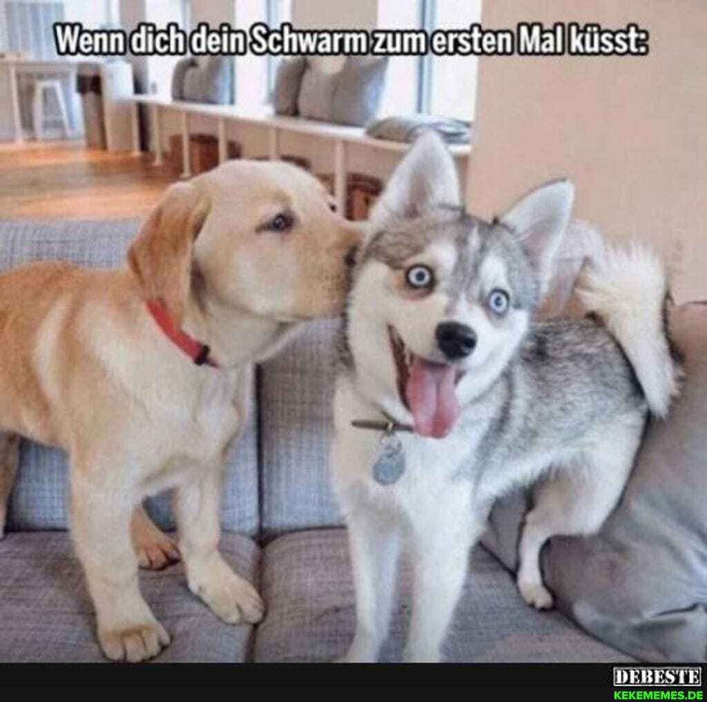 Wenn dich dem Schwarm zum ersten Mal küsst: a - -