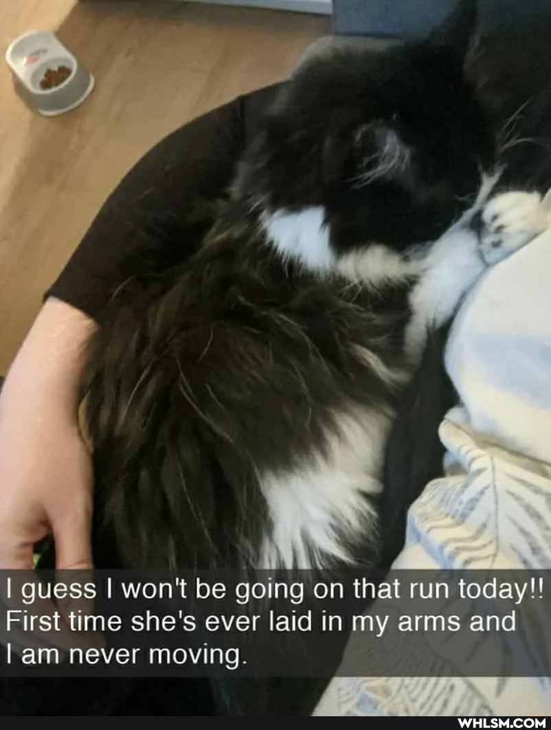 I guess I won't be going on that run today!!
First time she's ever laid in my arms and
lam never moving.