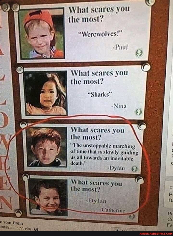 Your Brain day
What scares you the most?
"Werewolves!"
Paul
What scares you the most?
"Sharks"
What scares you the most?
"The unstoppable marching of time that is slowly guiding
Us all towards an inevitable
death, -Dylan
What scares you the most?
Catherine