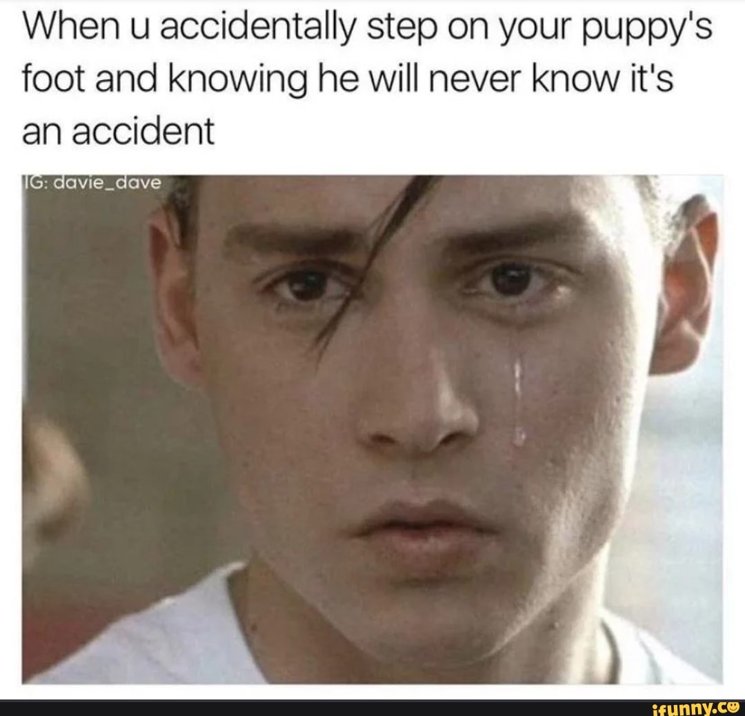 When u accidentally step on your puppy's foot and knowing he will never know it's an accident
davie_dove
