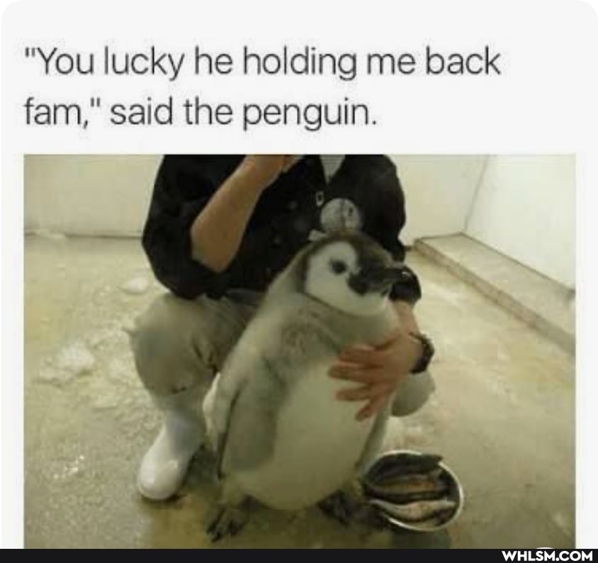 "You lucky he holding me back fam," said the penguin.