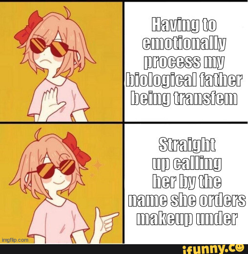 Transiem memes. Best Collection of funny Transiem pictures on iFunny