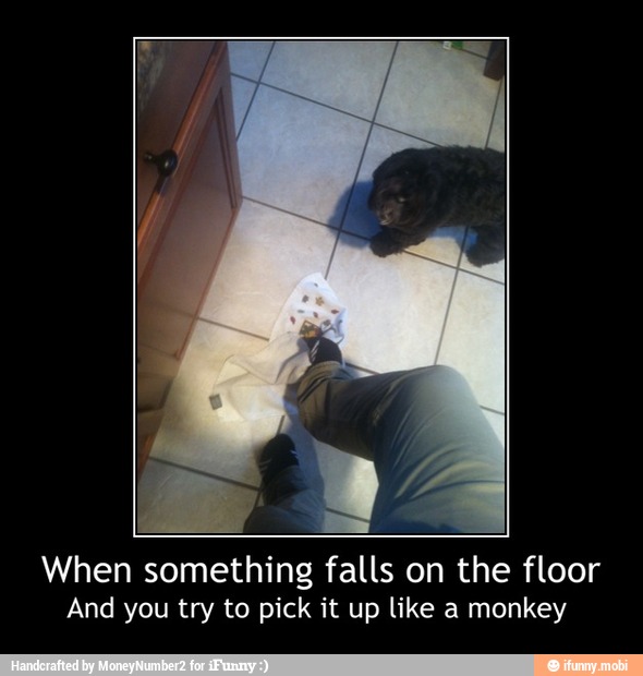 When something falls on the floor
And you try to pick it up like a monkey - When something falls on the floor
And you try to pick it up like a monkey