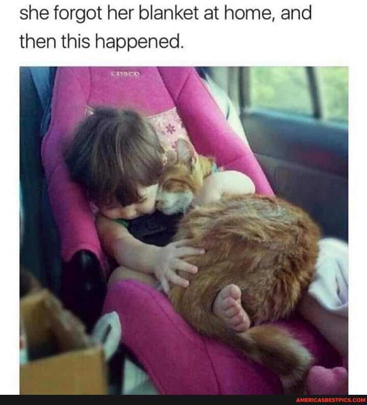 she forgot her blanket at home, and then this happened.
Ag