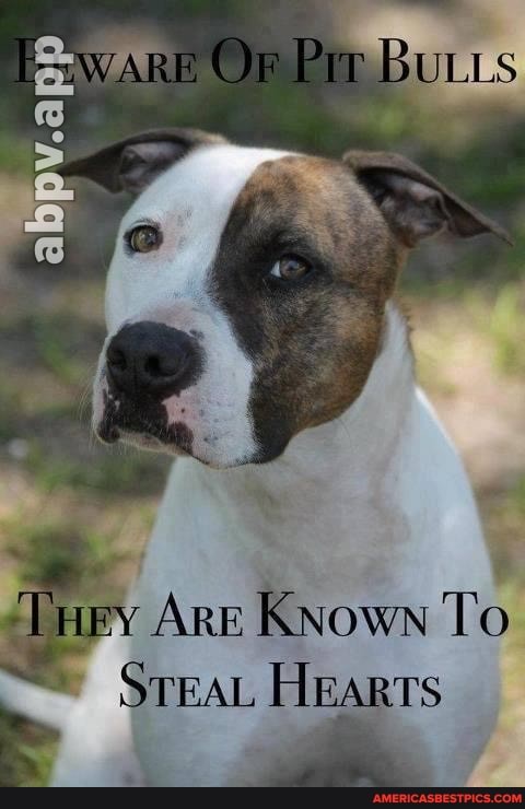 Or Pit
Are Known To
STEAL HEARTS