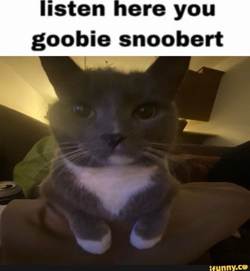 Goobie Memes. Best Collection Of Funny Goobie Pictures On Ifunny