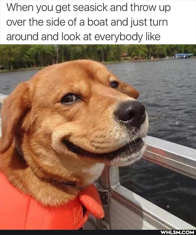When you get seasick and throw up over the side of a boat and just turn around and look at everybody like