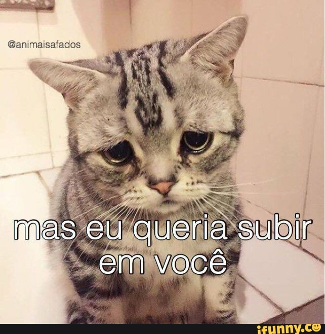 Fãlas memes. Best Collection of funny Fãlas pictures on iFunny Brazil