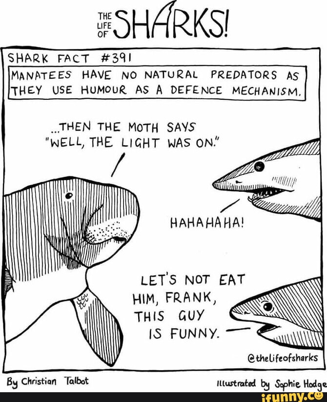 SHARKS! SHARK FACT #391 MANATEES HAVE NO NATURAL PREDATORS AS THEY USE