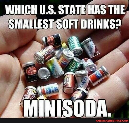 WHICH US. STATE HAS THE SMALLEST SOFT DRINKS?
MINISODA.